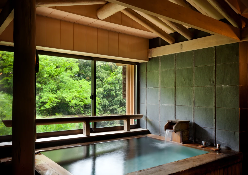 Koharu -all cypress-