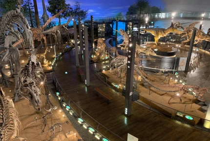 [Fukui]Fukui Prefectural Dinosaur Museum