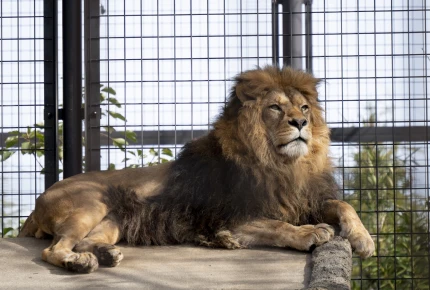 [Nomi, Ishikawa]Ishikawa Zoo