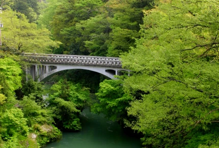 Kurotani Bridge